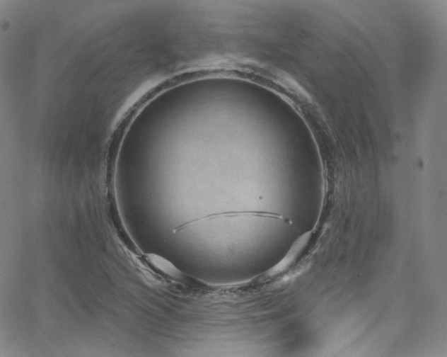 X0000063531216200601201450