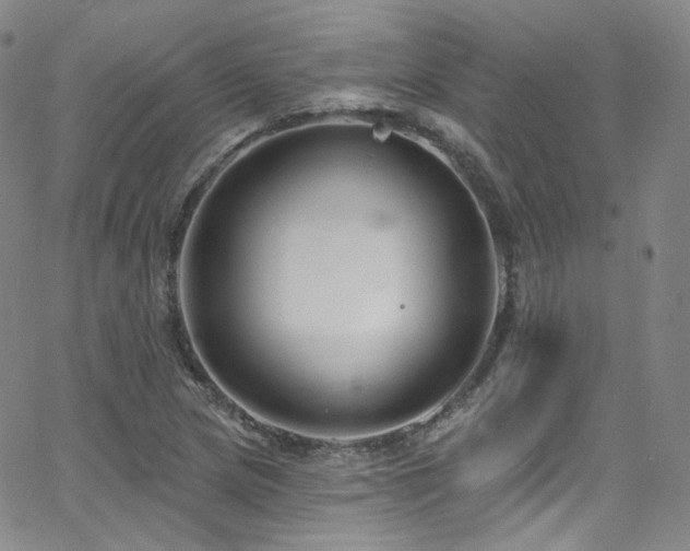 X0000063531217200601201450