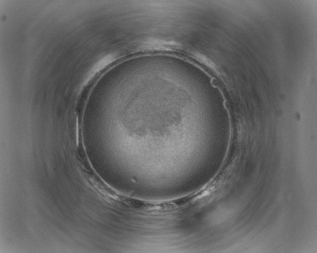 X0000063531219200601201450