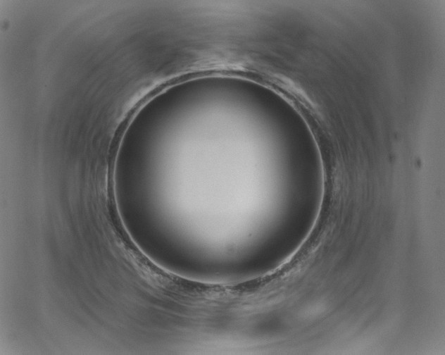 X0000063531220200601201450