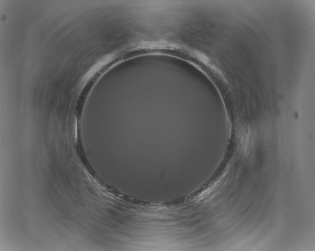 X0000063531221200601201450