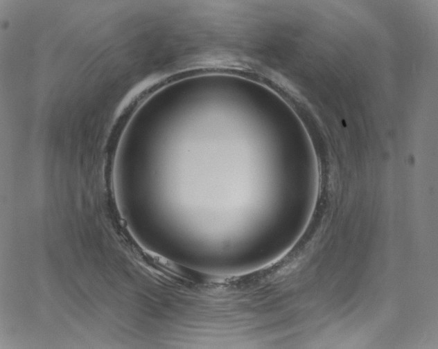 X0000063531222200601201450