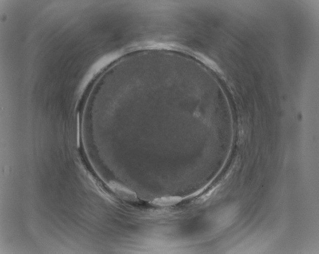 X0000063531223200601201450