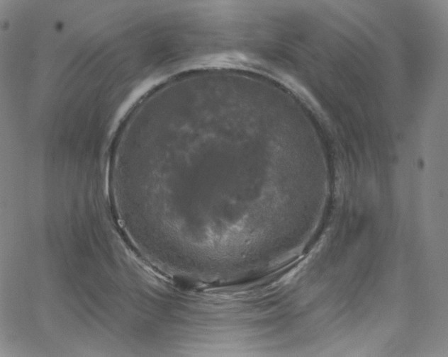 X0000063531224200601201450