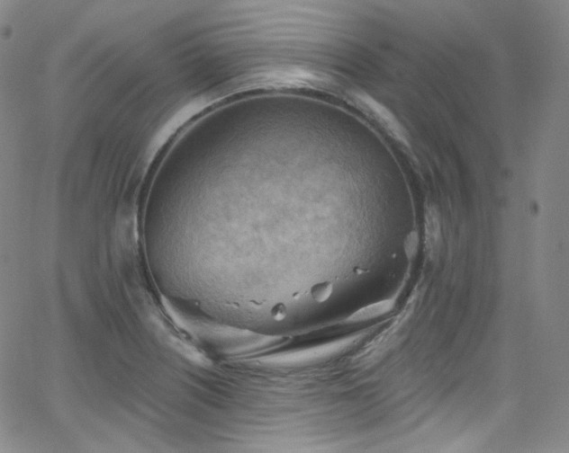 X0000063531226200601201450