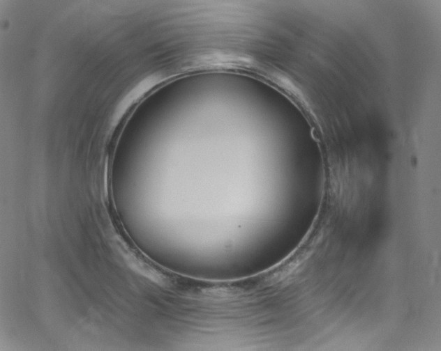 X0000063531227200601201450