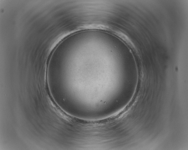 X0000063531228200601201450