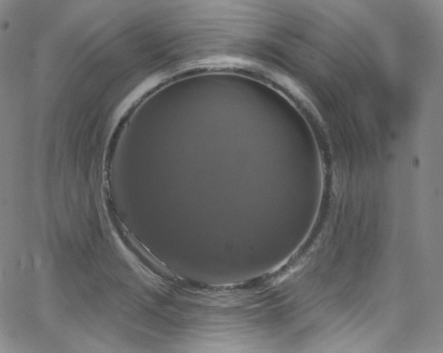 X0000063531229200601201450