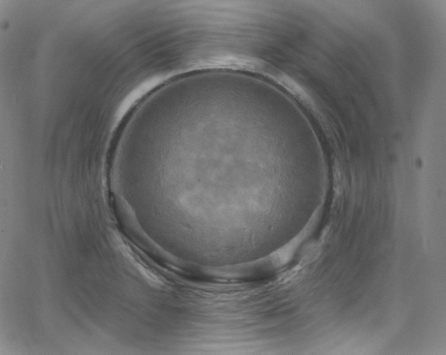 X0000063531230200601201450