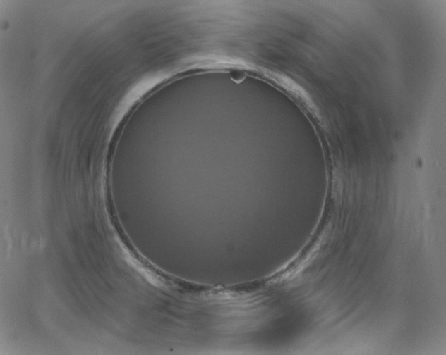 X0000063531231200601201450