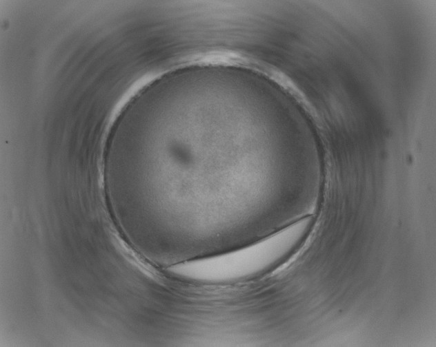 X0000063531232200601201450