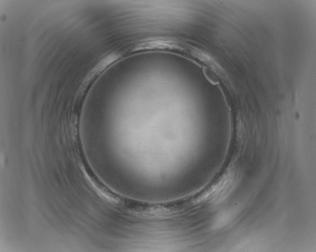 X0000063531233200601201450