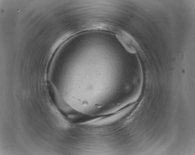 X0000063531234200601201450