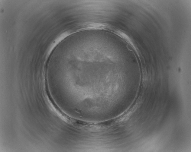 X0000063531235200601201450