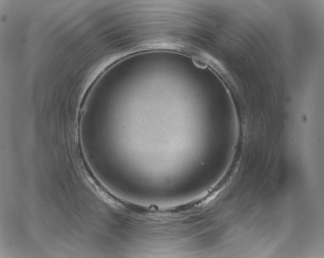 X0000063531236200601201450