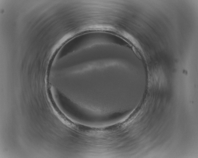 X0000063531237200601201450