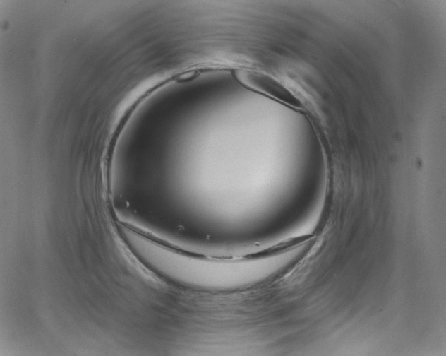 X0000063531238200601201450