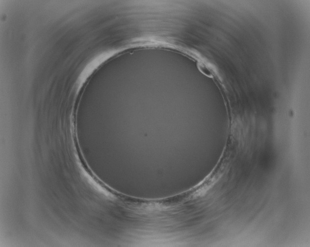 X0000063531239200601201450