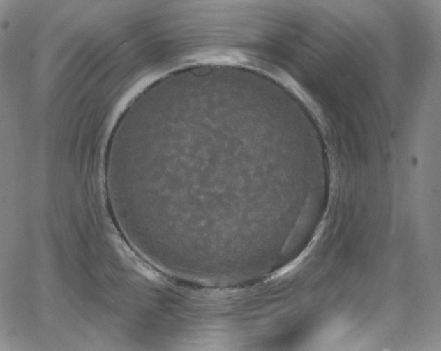 X0000063531240200601201450