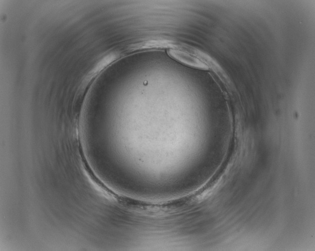 X0000063531241200601201450