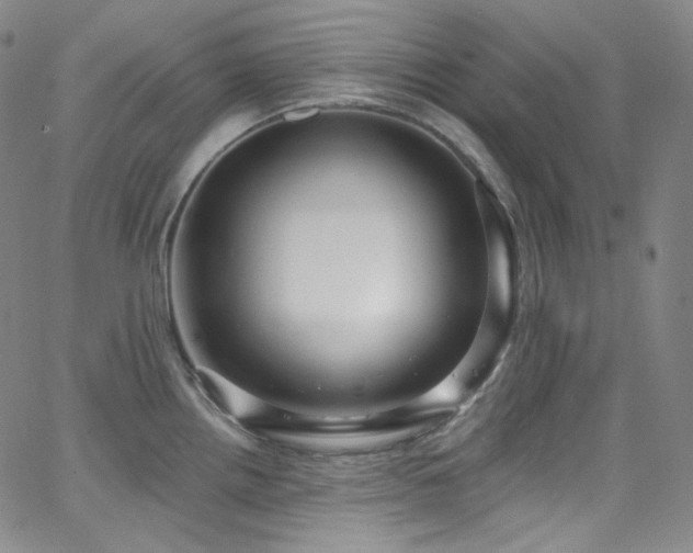 X0000063531242200601201450