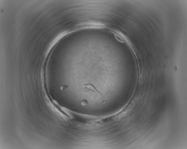 X0000063531243200601201450