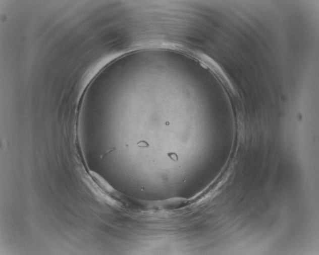 X0000063531244200601201450