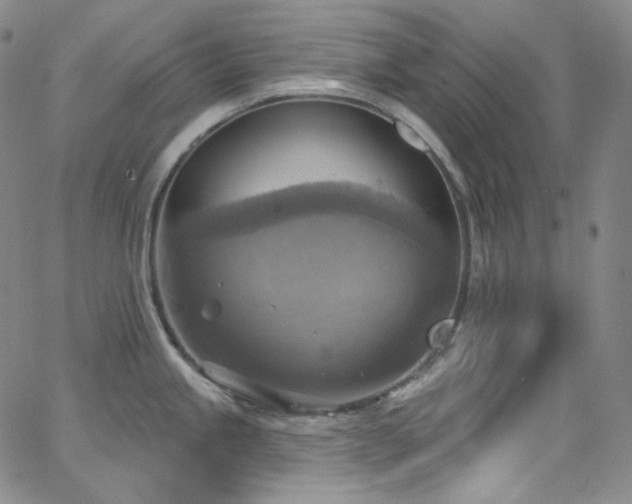 X0000063531245200601201450