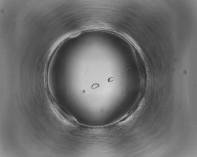 X0000063531246200601201450