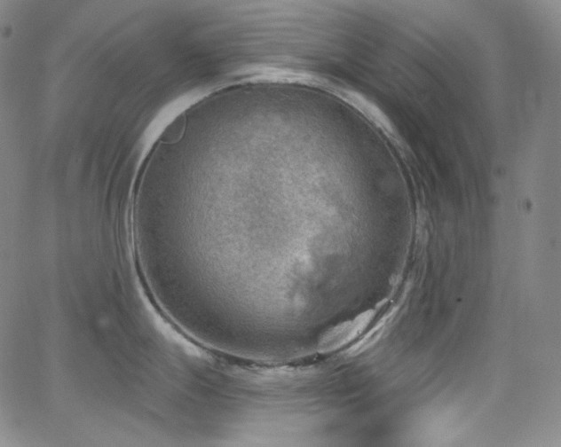 X0000063531247200601201450