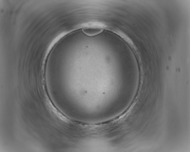 X0000063531248200601201450