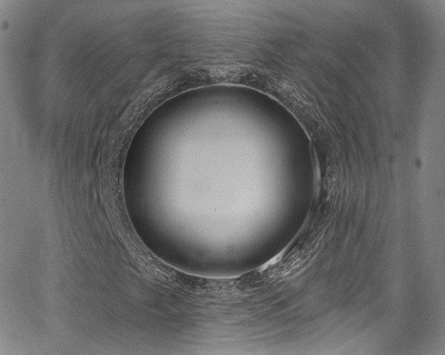 X0000063531249200601201449