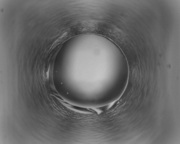 X0000063531250200601201449