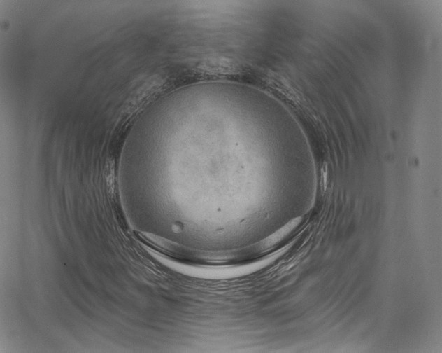 X0000063531251200601201449