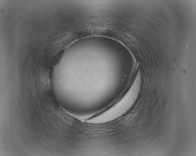 X0000063531252200601201449