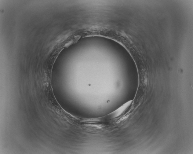 X0000063531253200601201449