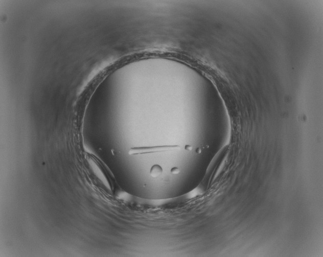 X0000063531256200601201449