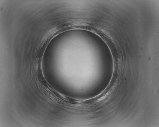 X0000063531257200601201449