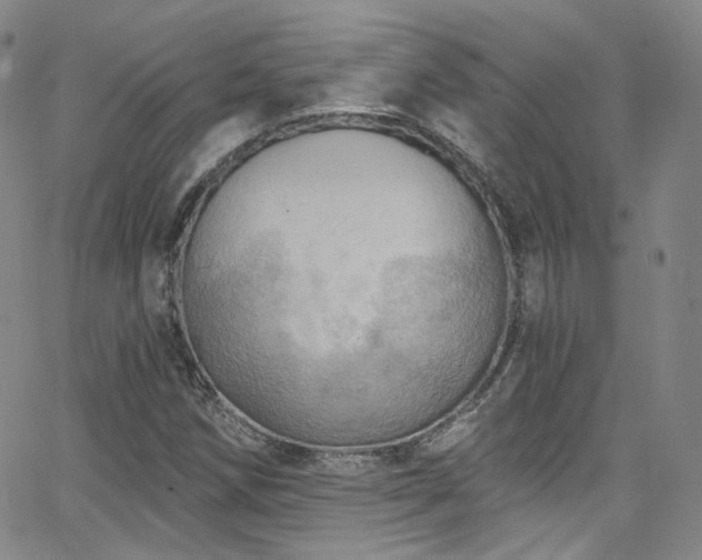 X0000063531258200601201449