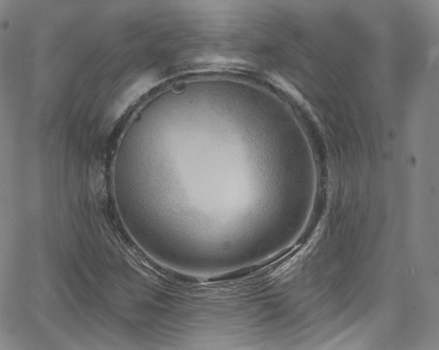 X0000063531259200601201449