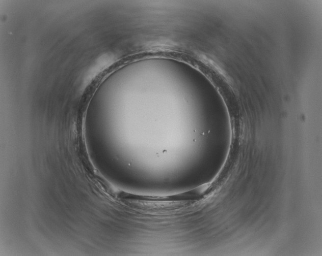 X0000063531261200601201449