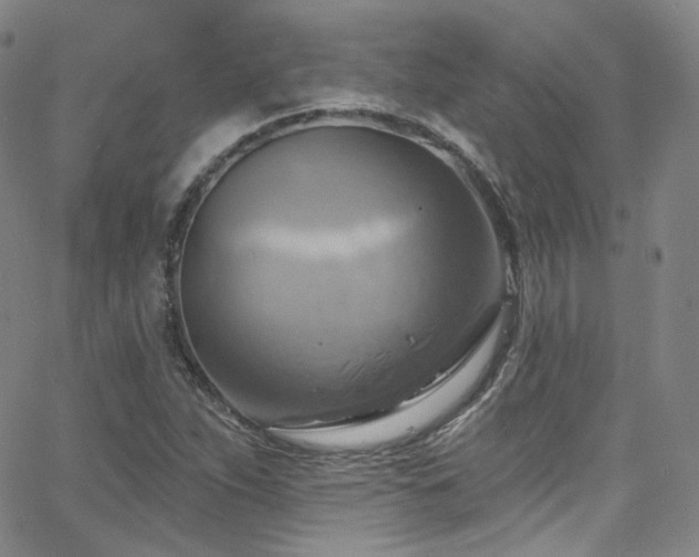 X0000063531263200601201449