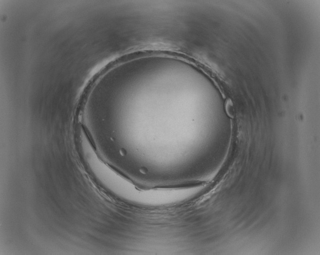 X0000063531264200601201449