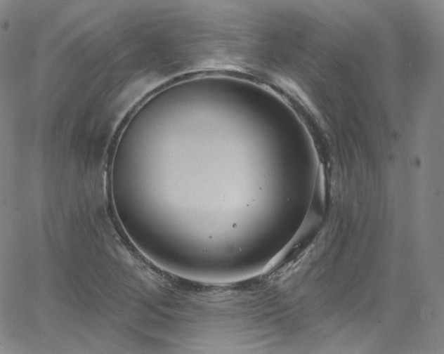 X0000063531268200601201449