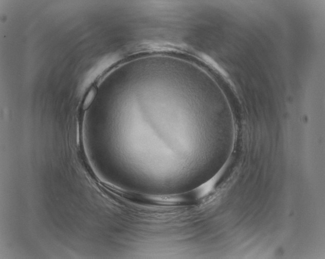 X0000063531269200601201449