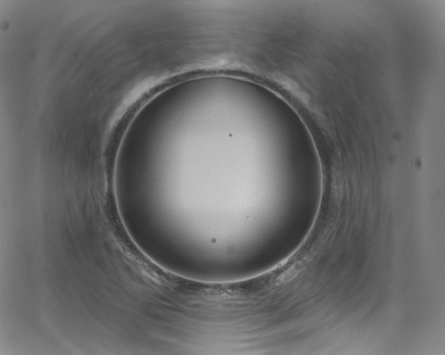 X0000063531270200601201449