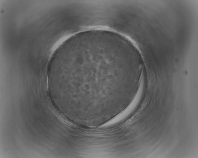 X0000063531271200601201449