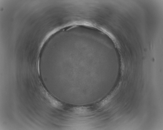 X0000063531272200601201449