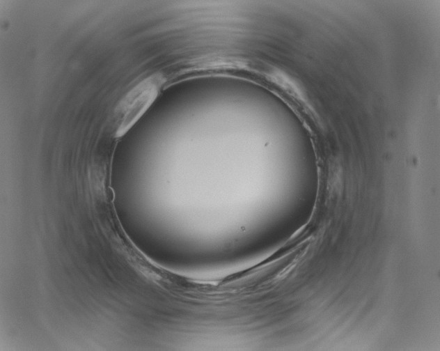 X0000063531273200601201449