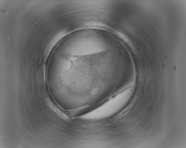 X0000063531275200601201449